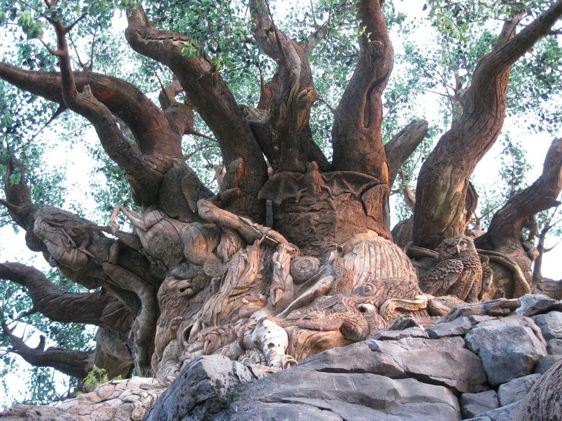 Árvore da Vida no Disney's Animal Kingdom, em Orlando